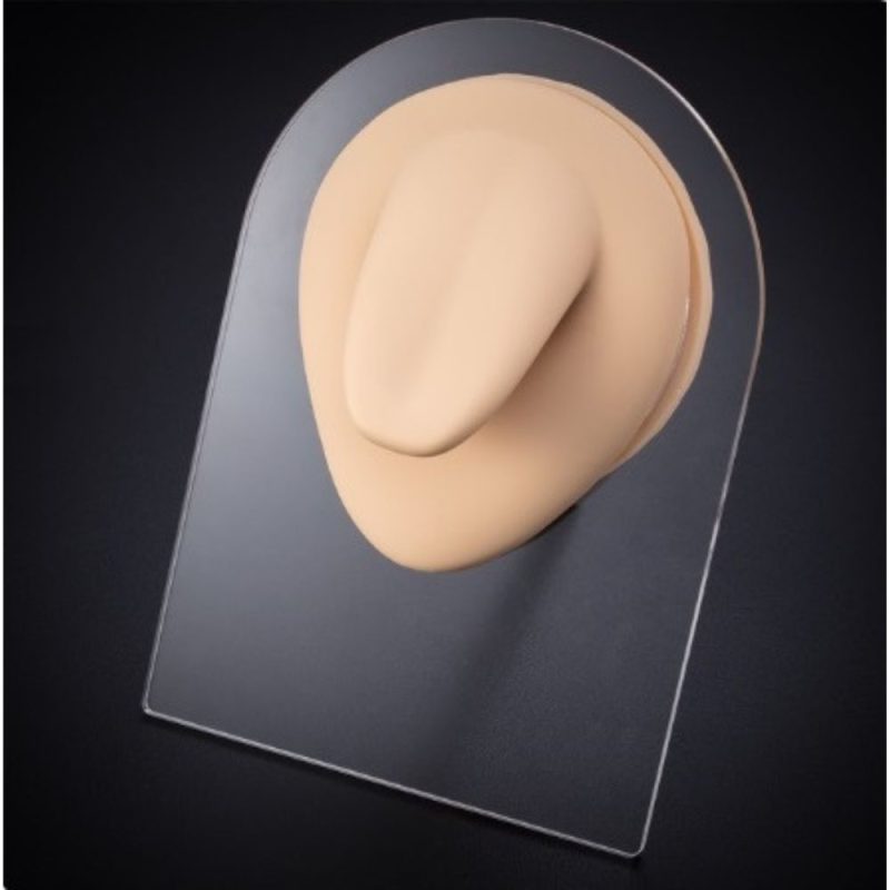 Modello Silicone 3D – LINGUA